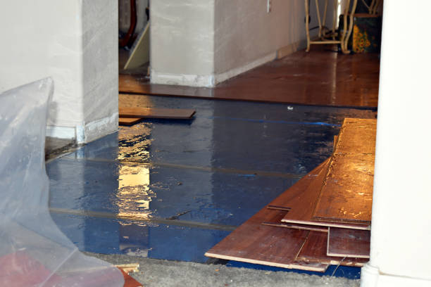 Professional Sewage Cleanup technician working in Lewisville, NC